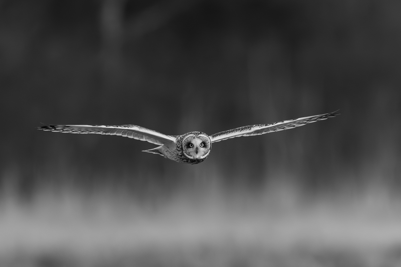 Pia Schrader (Denmark) Eye contact